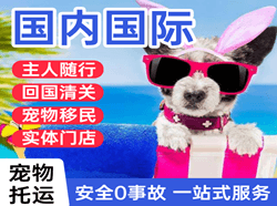 永兴机场快递国际宠物托运 【国